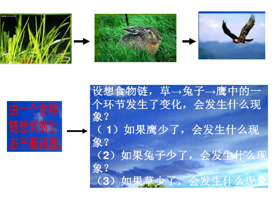 六年级下册科学课件4.4生态平衡19苏教版17张_第4页