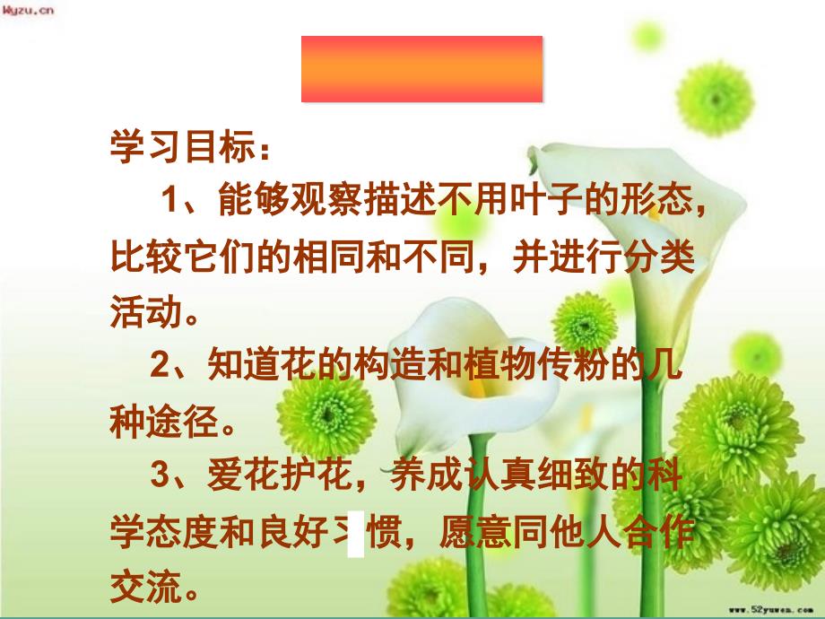 苏教版小学科学三年级下册叶和花ppt课件_第3页