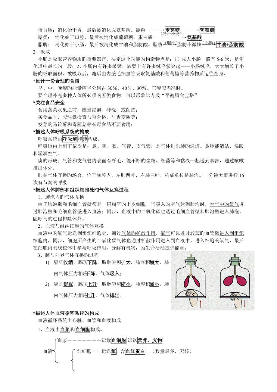 七年级下册生物复习资料_第3页