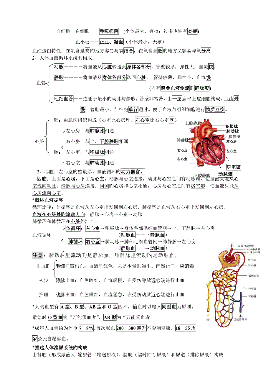 七年级下册生物复习资料_第4页