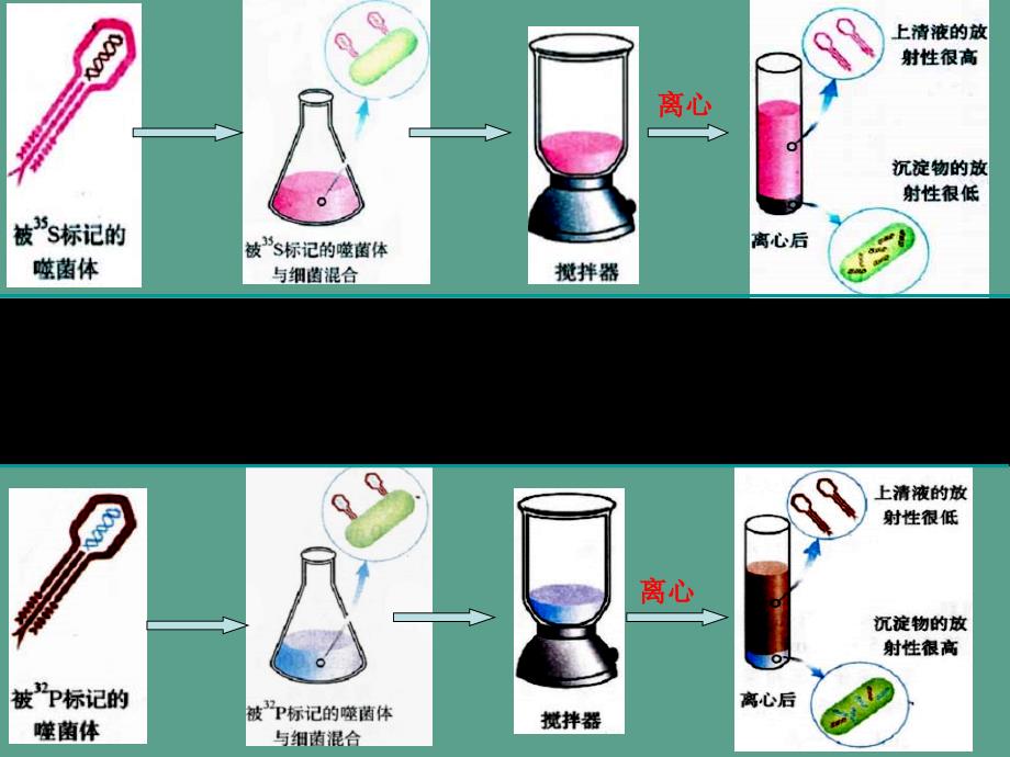 自学讨论提纲ppt课件_第4页