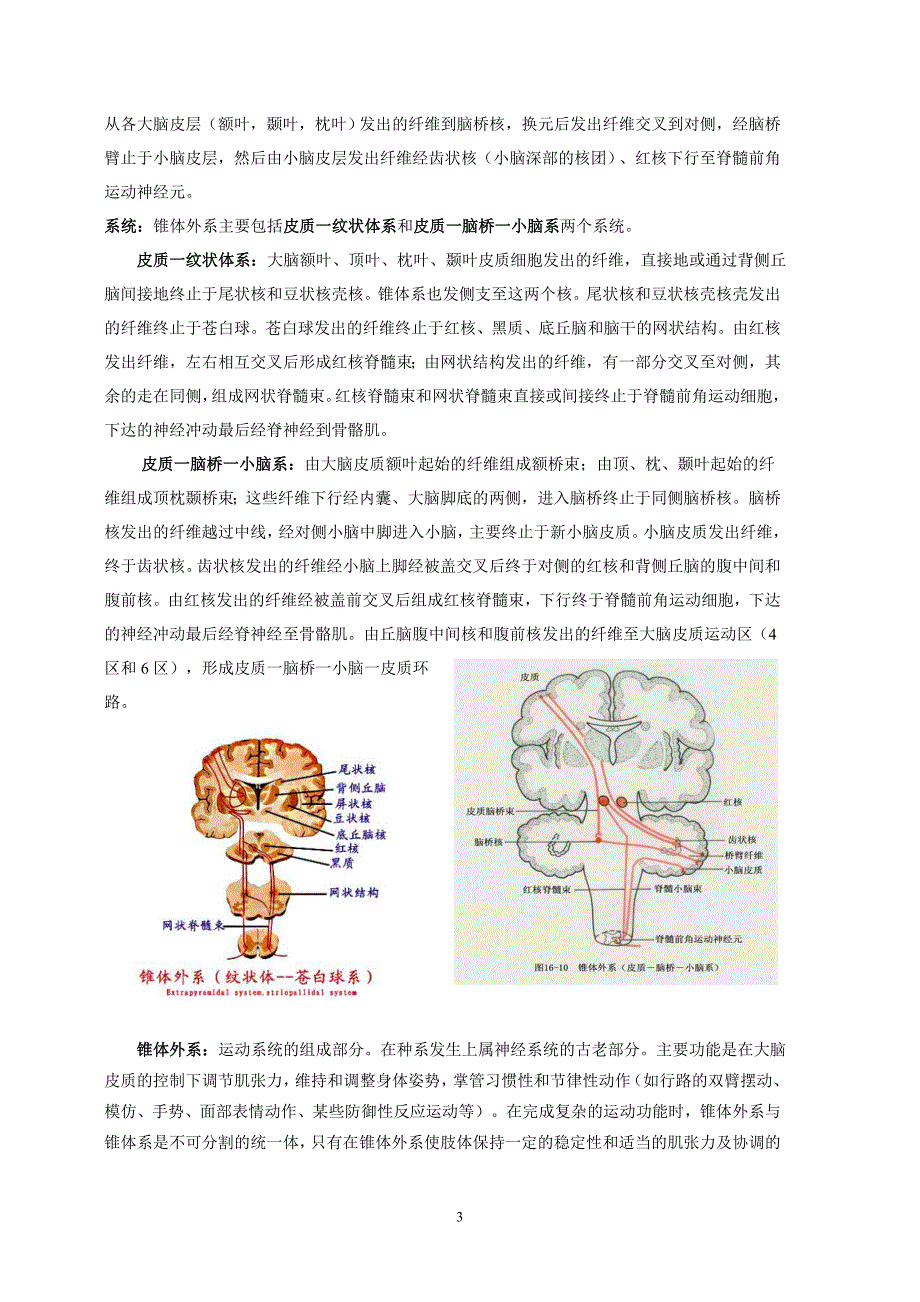 锥体束及锥体外系_第3页