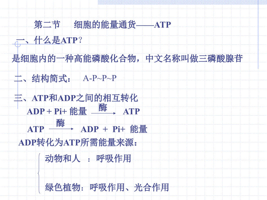 人教版教学课件细胞的能量供应和利用 课件_第4页