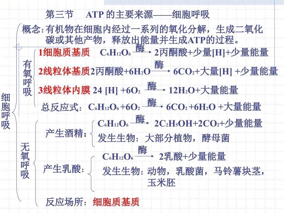 人教版教学课件细胞的能量供应和利用 课件_第5页