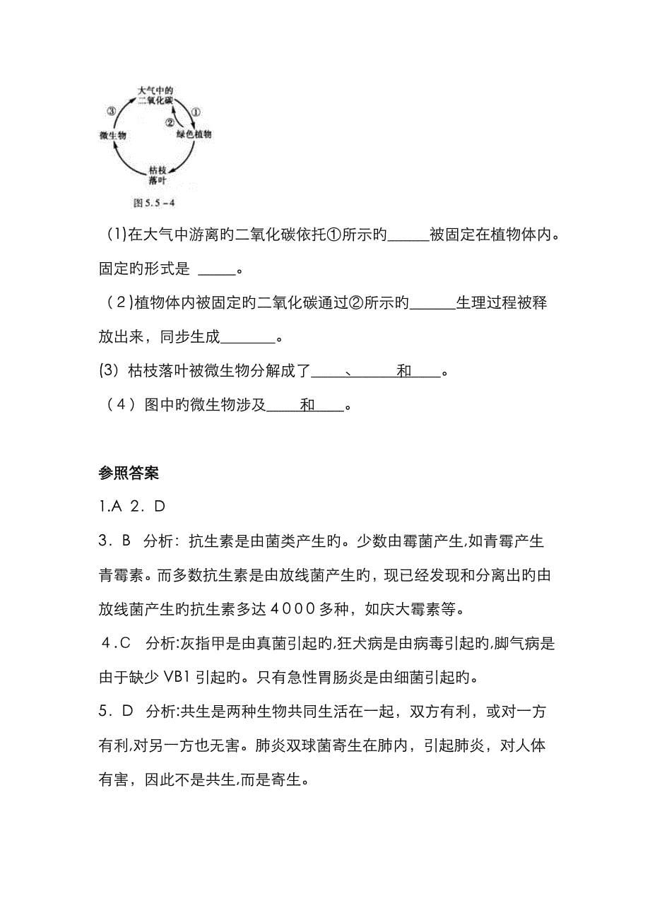 八年级生物上册第四节细菌和真菌在自然界中的作用综合检测_第5页