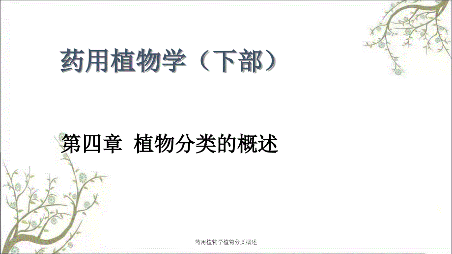 药用植物学植物分类概述_第1页