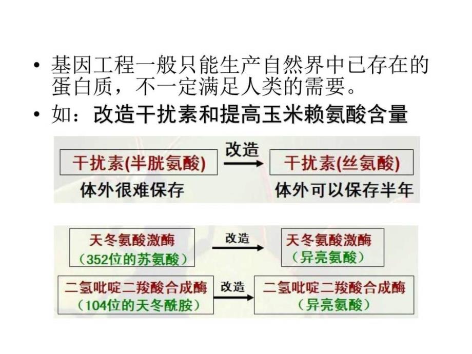 ...区第三高级中学人教版高中生物选修31.4蛋白质工程..._第4页