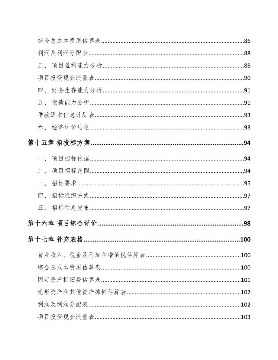 嘉兴数码配套产品项目可行性研究报告_第5页