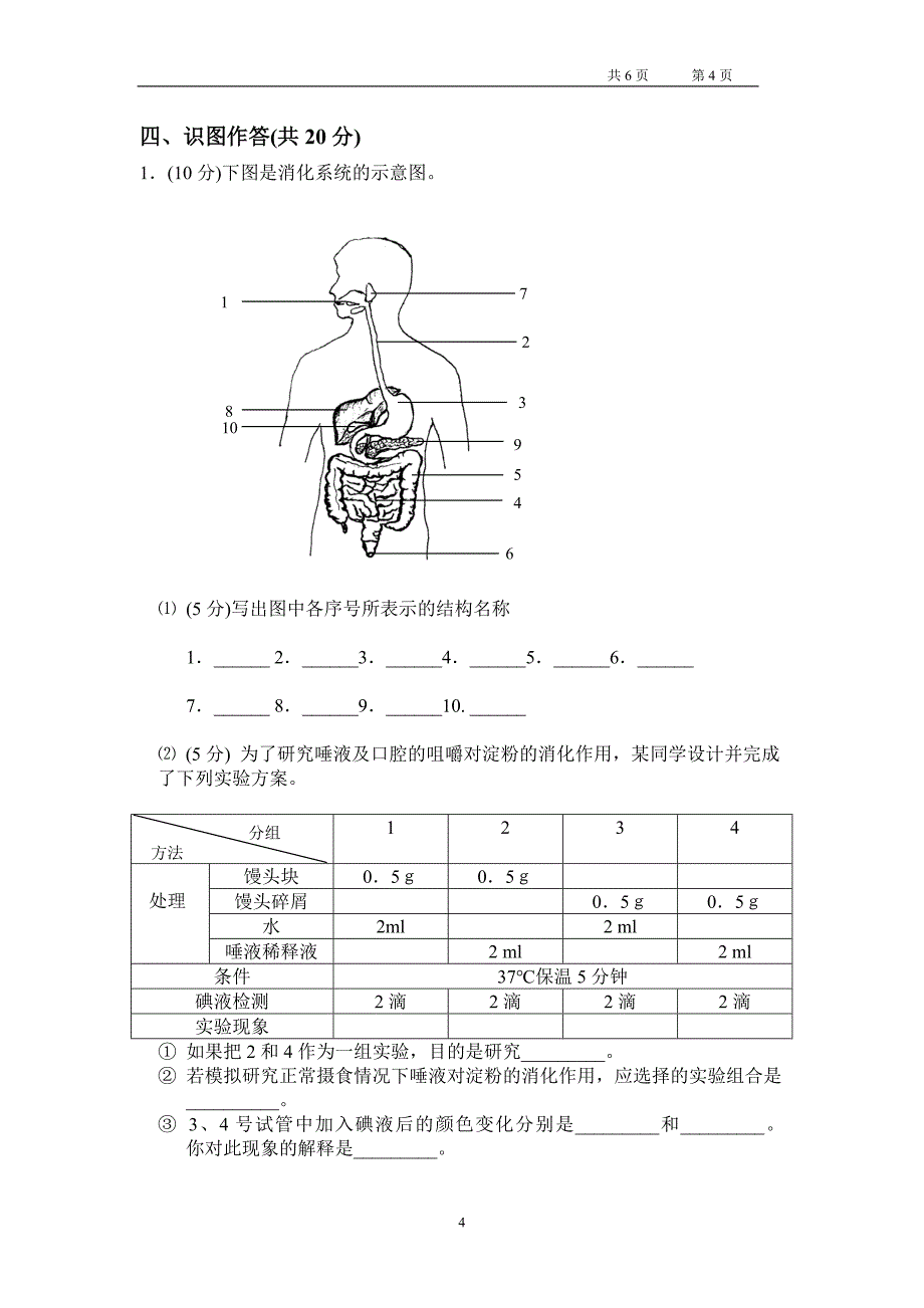 七下中期试卷_第4页