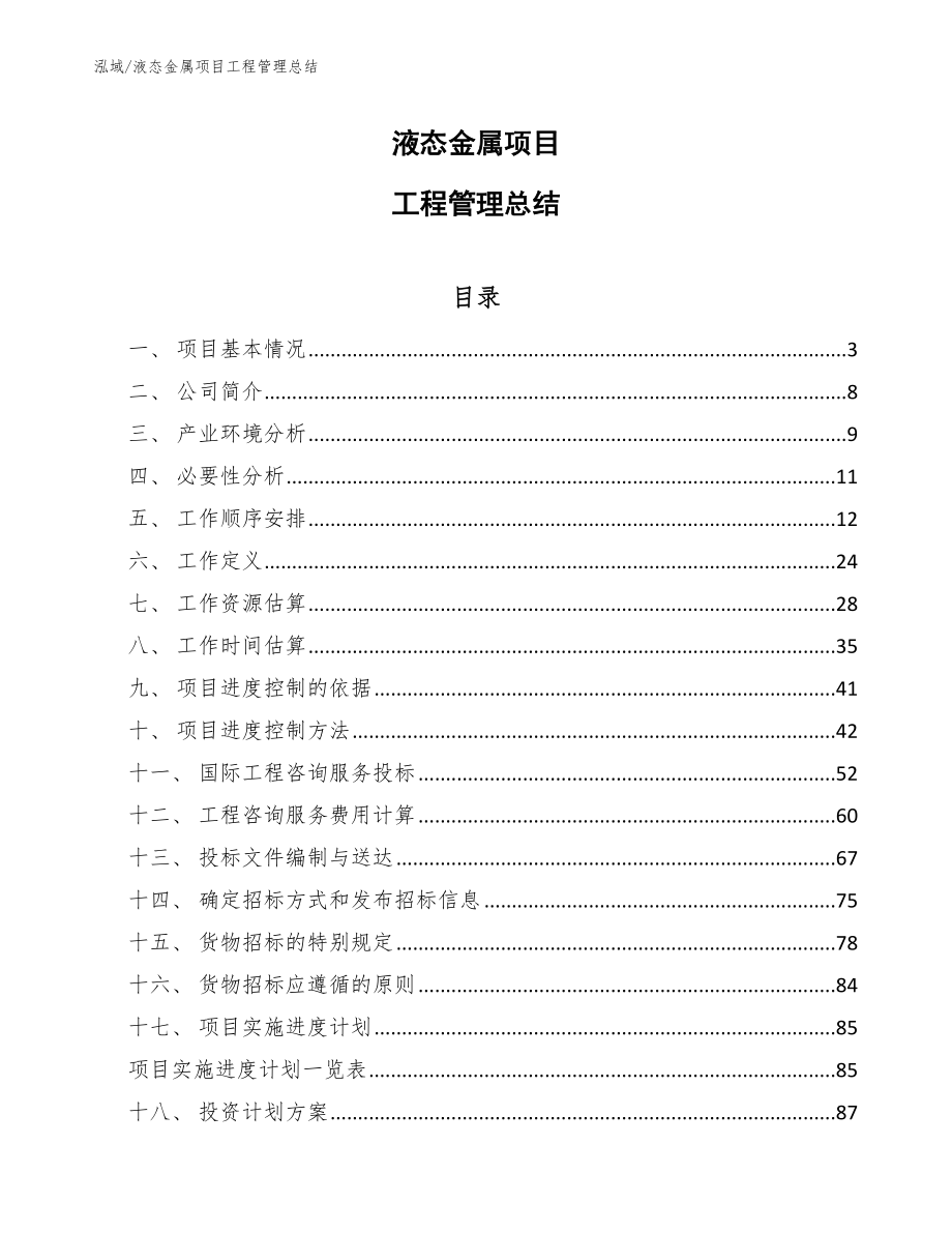 液态金属项目工程管理总结_第1页