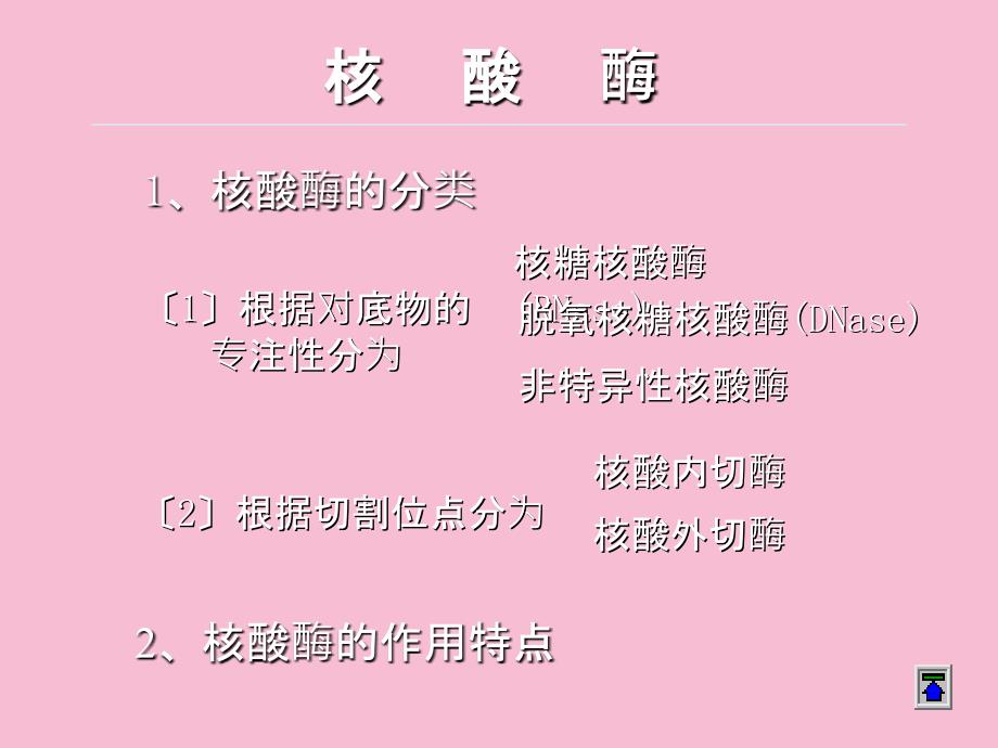 核酸的酶促降解和核苷酸代谢1ppt课件_第3页