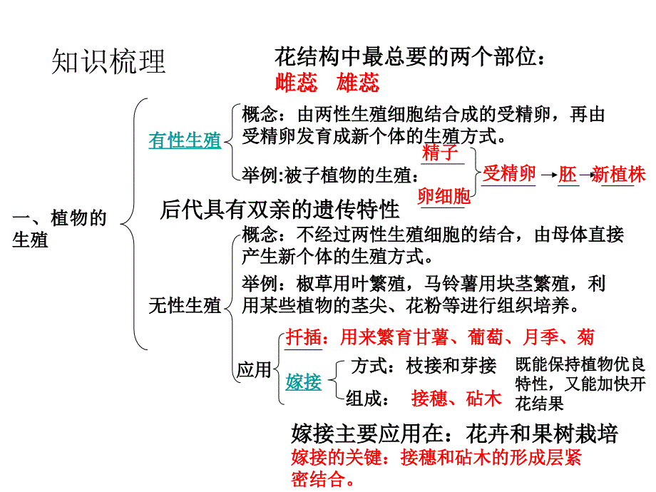 下册第一章复习生物_第4页