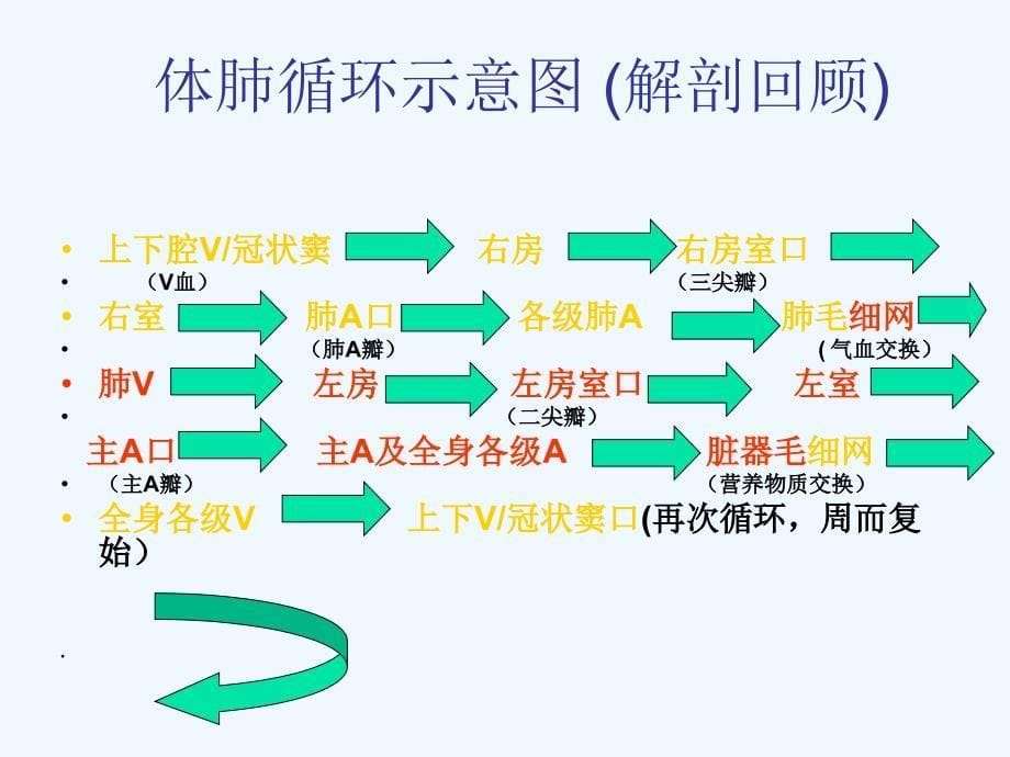 心力衰竭讲义ppt课件_第5页