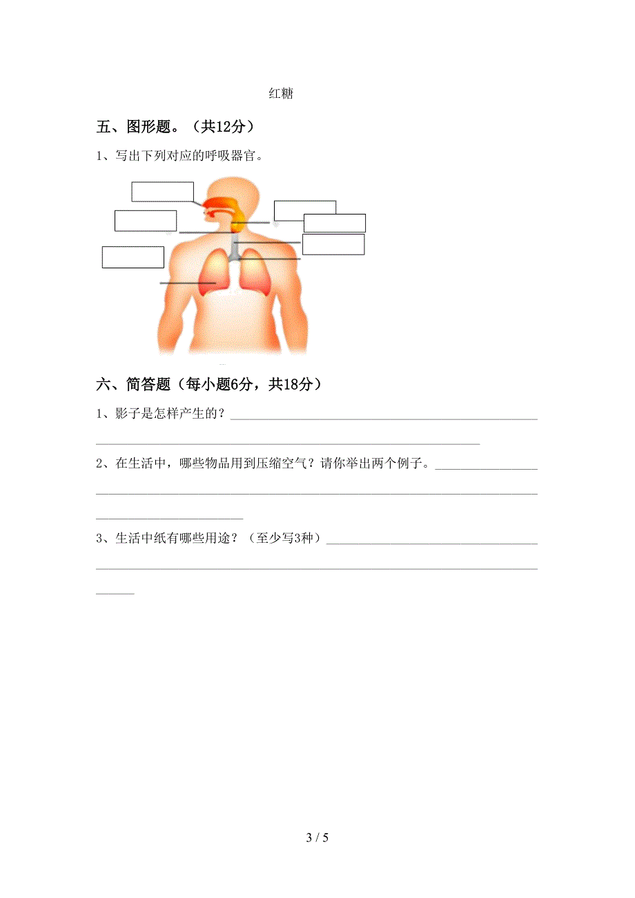 新教科版三年级科学下册期中测试卷及答案【审定版】.doc_第3页