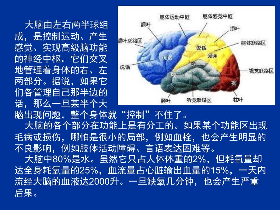 根据网络资料编辑制作手动翻页课件_第3页