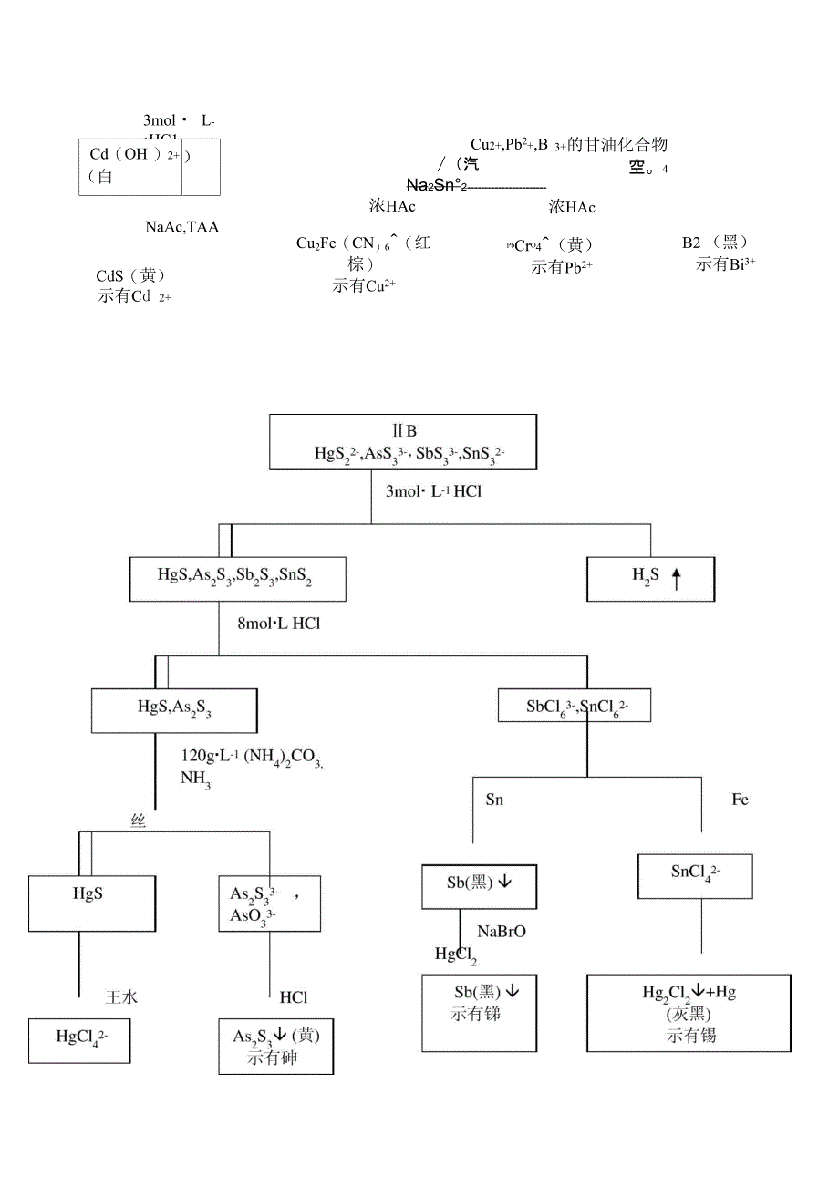 定性分析实验流程_第4页