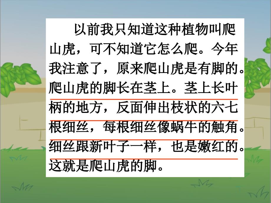 《爬山虎的脚》课件第二课时_第3页