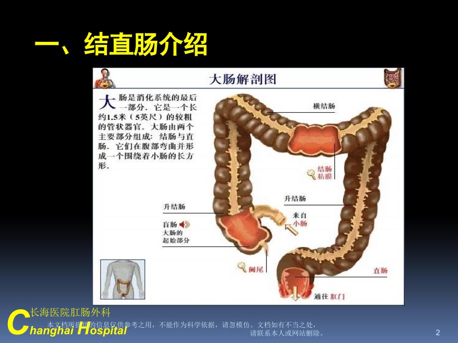 直肠癌课件直肠癌的认识_第2页