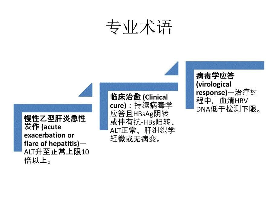 .1.8乙肝防治指南1_第5页