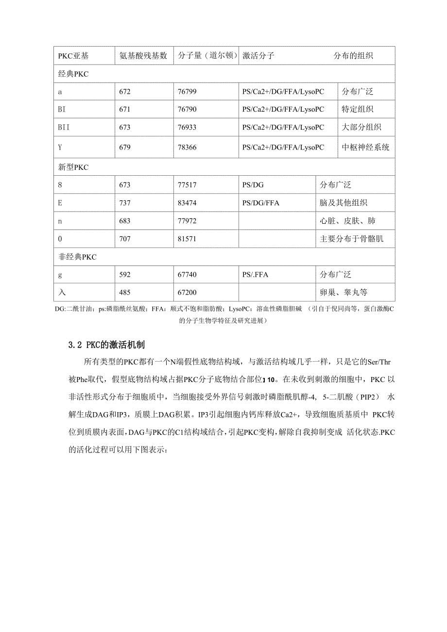 PKA和PKC的分子结构和作用机制_第5页