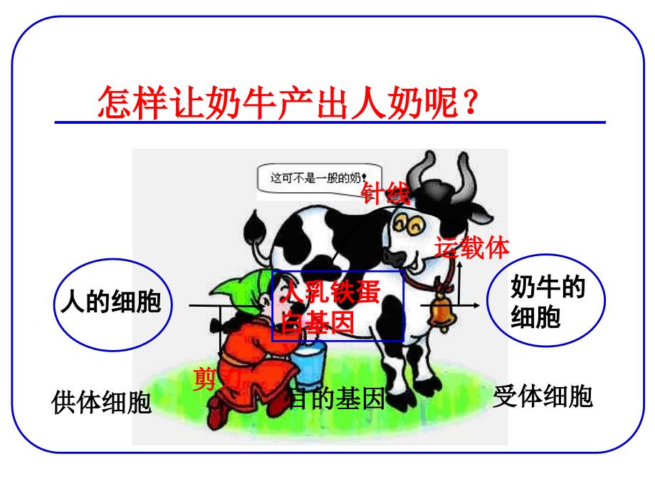 人教版教学课件基因工程及其应用.ppt_第2页