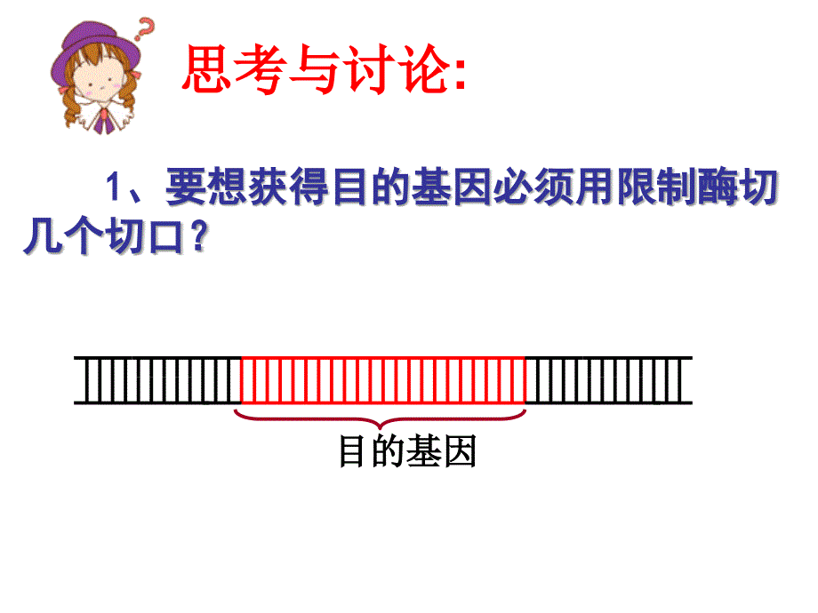 人教版教学课件基因工程及其应用.ppt_第4页