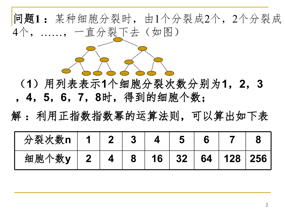 正整数指数函数课堂PPT_第2页