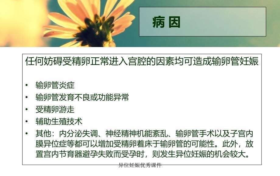 异位妊娠优秀课件_第5页