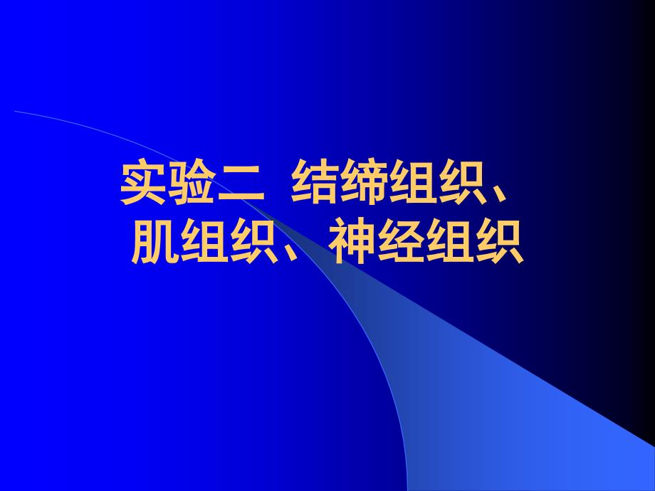 实验二结缔组织肌组织神经组织课件_第1页