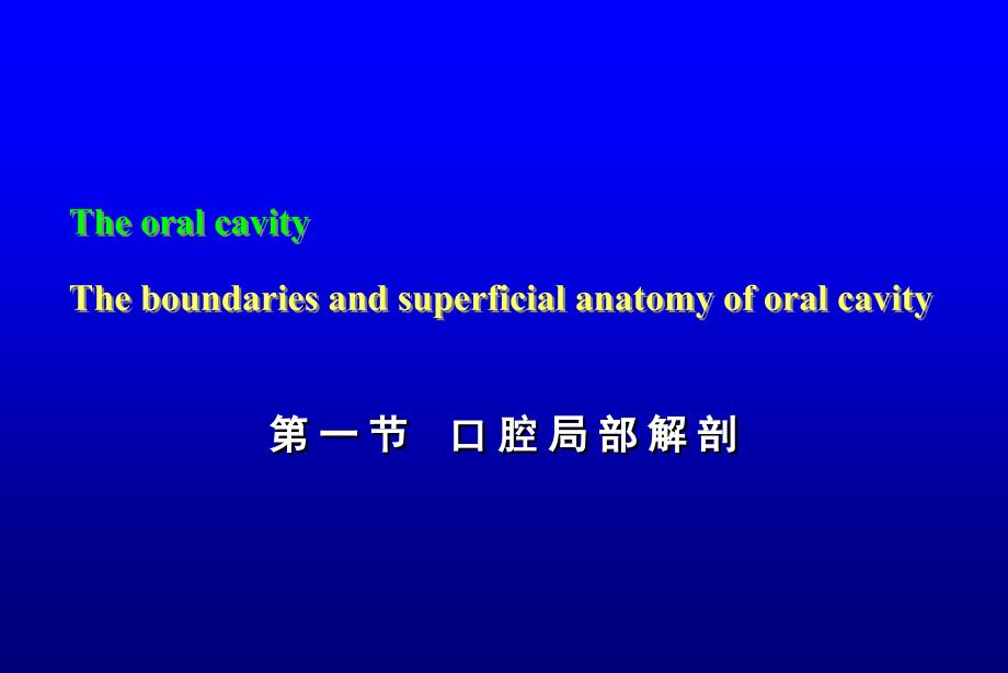 口腔颌面颈部局部解剖PPT课件_第2页