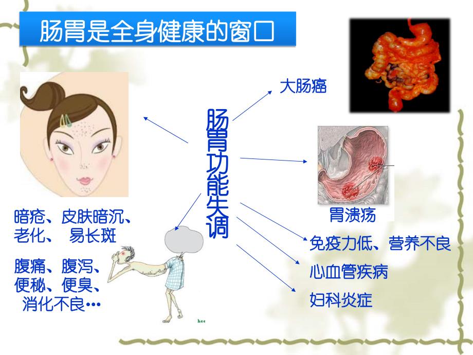 三.肠道健康课件_第3页