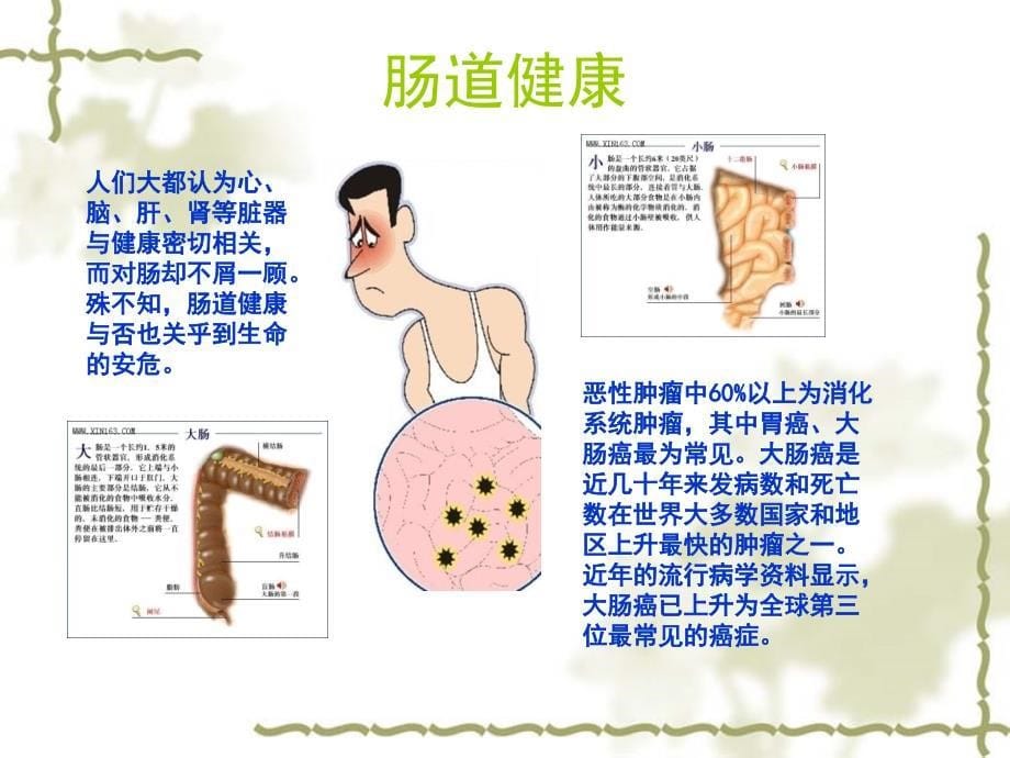 三.肠道健康课件_第5页