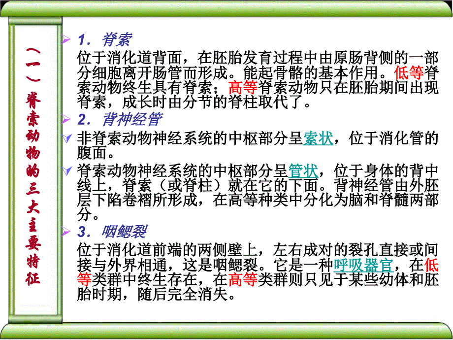 奥赛辅导(脊椎动物)_第2页