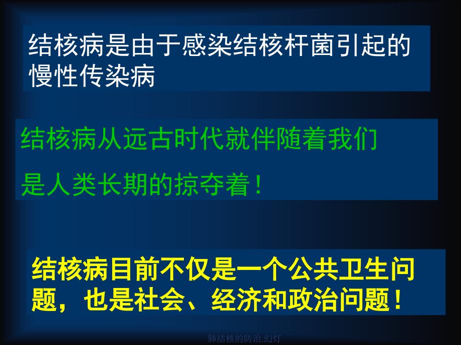 肺结核的防治.幻灯课件_第2页