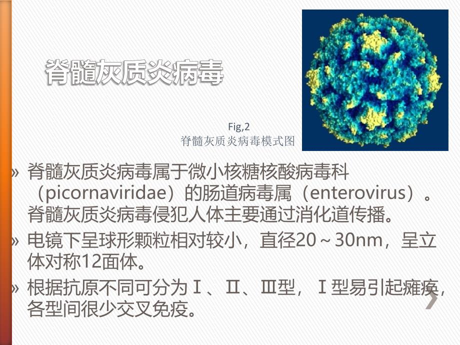 脊髓灰质炎病因PPT课件_第3页