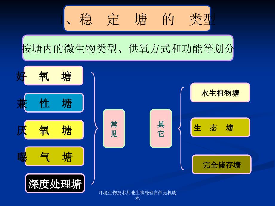 环境生物技术其他生物处理自然无机废水课件_第4页