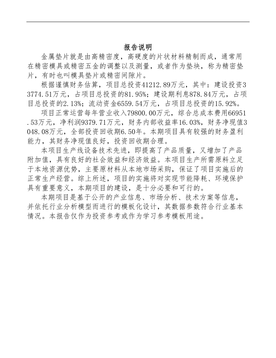 无锡金属垫片项目可行性研究报告参考范文(DOC 94页)_第2页