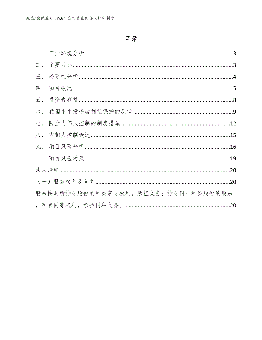 聚酰胺6（PA6）公司防止内部人控制制度_第2页