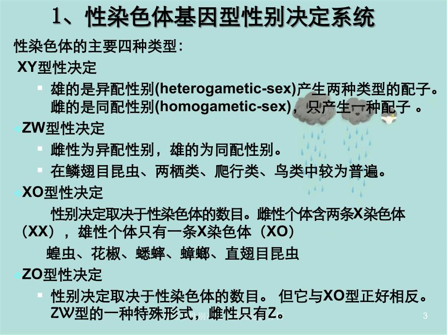 第五章性别决定与伴性遗传分析_第3页