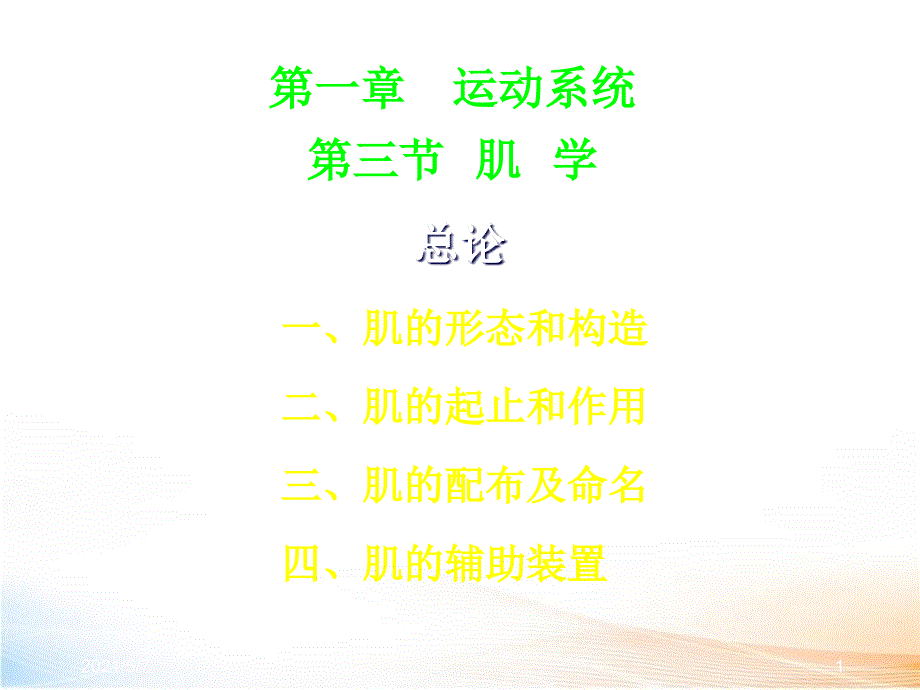 人体解剖学课程运动系统骨骼肌_第1页