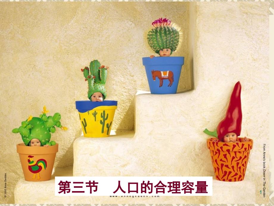 人口的合理容量演示PPT_第1页
