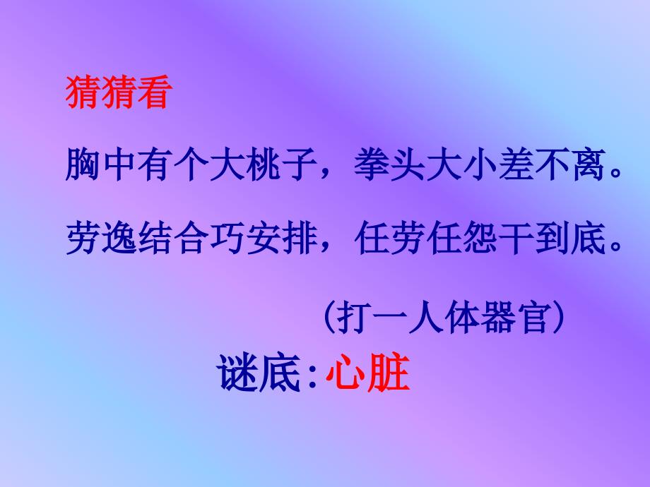 输送血液的泵—心脏ppt课件_第2页