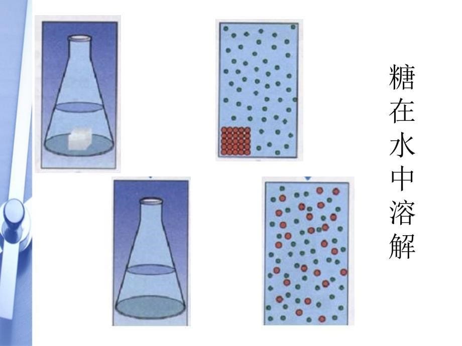 七年级生物上册-细胞的生活需要物质和能量课件-人教新课标版._第5页