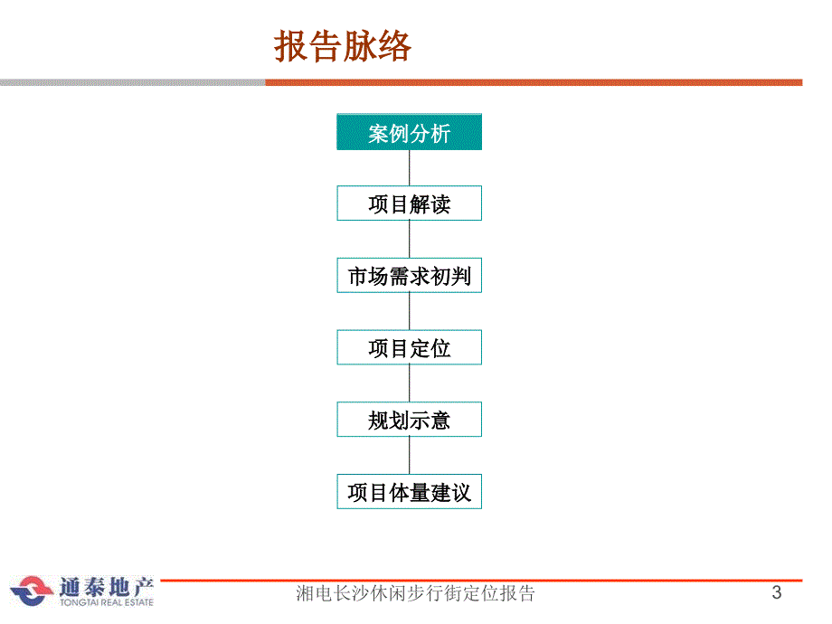 湘电长沙休闲步行街定位报告课件_第3页