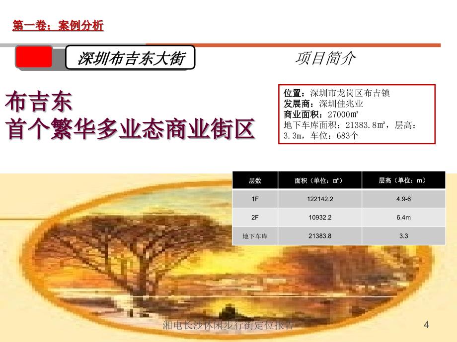 湘电长沙休闲步行街定位报告课件_第4页