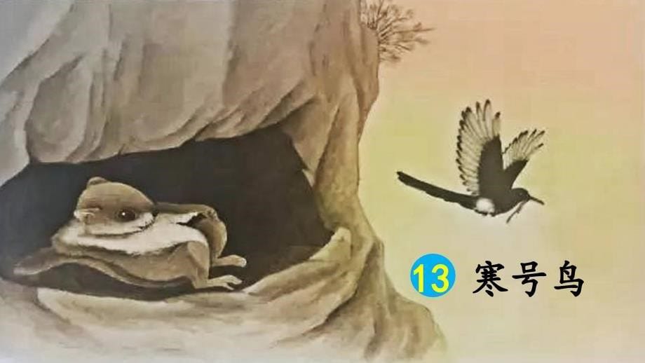 部编版二年级上册语文 13 寒号鸟 优质课件 6_第5页