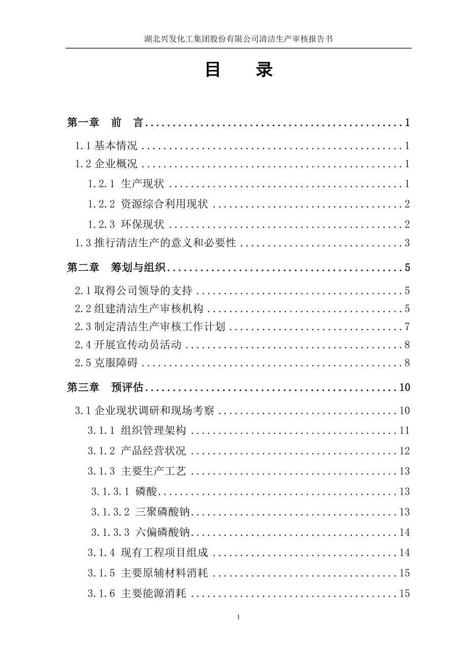 兴发集团(磷化工)清洁生产审核报告_第1页