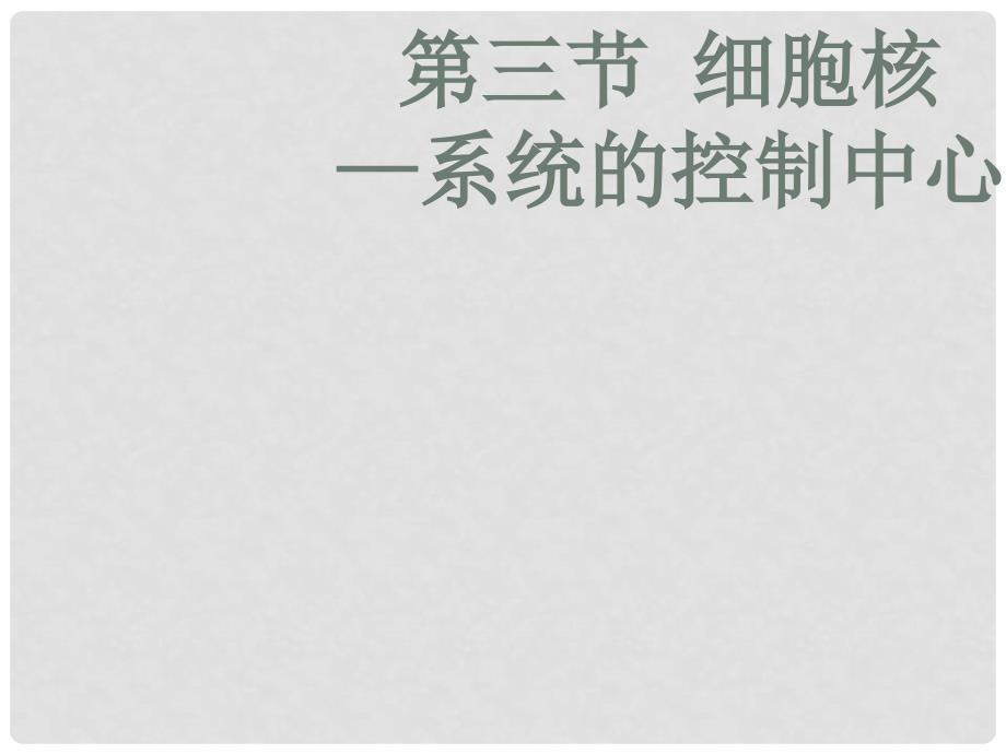 河南省洛阳市中成外国语学校高中生物 3.3 细胞核—系统的控制中心课件2 新人教版必修1_第2页