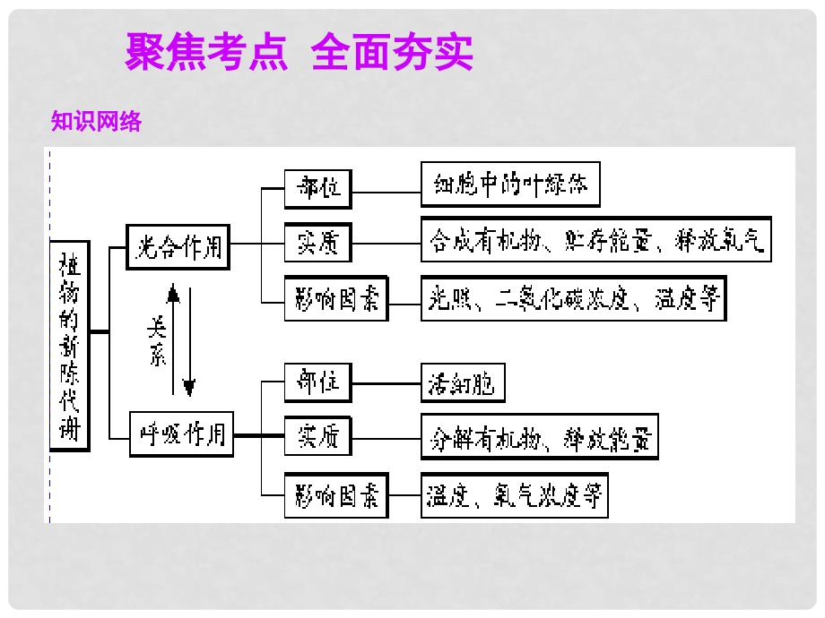 中考科学总复习 第04讲绿色植物的新陈代谢（一）课件（考点精讲+13中考真题）_第2页