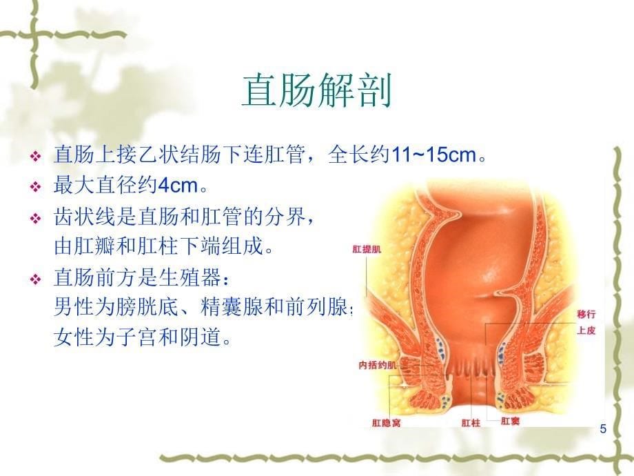 直肠癌的超声诊断ppt课件_第5页